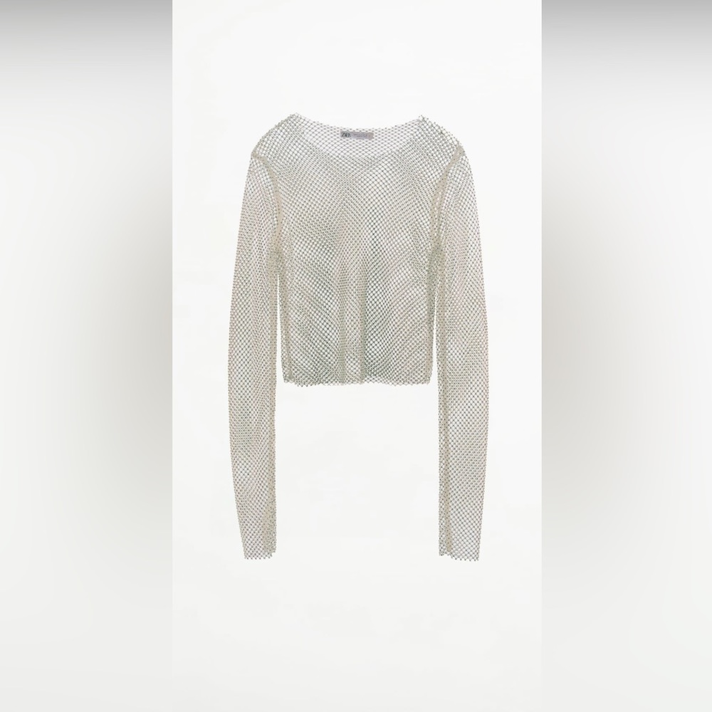 Zara Shimmer Mesh Crop Top